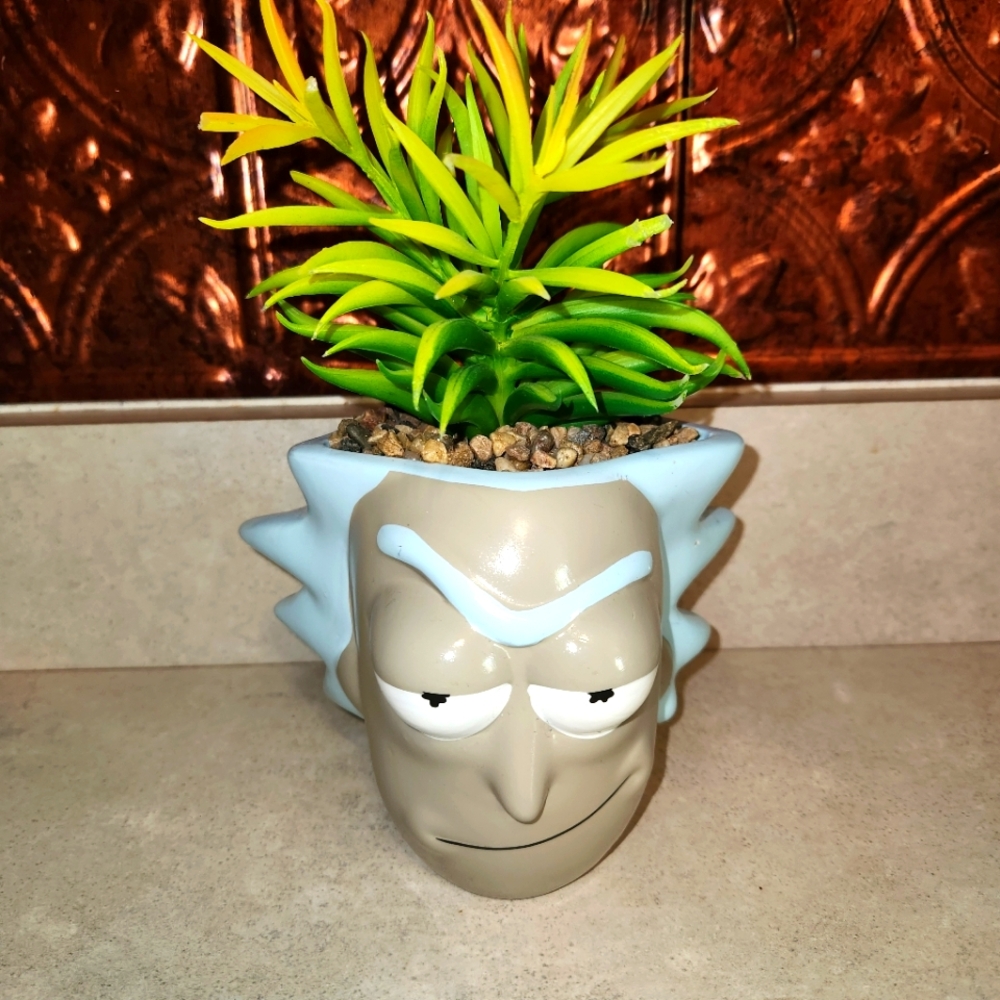 Rick and Morty Planter with Faux Succulent
